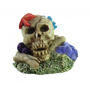 HAQUOSS KORAL SKULL 4 - 8,5x5,8x6,5h cm